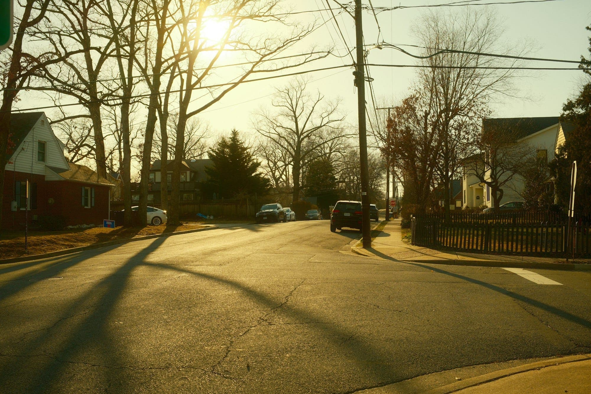 Sunlight on a quiet, tree-lined suburban street in Arlington, Virginia